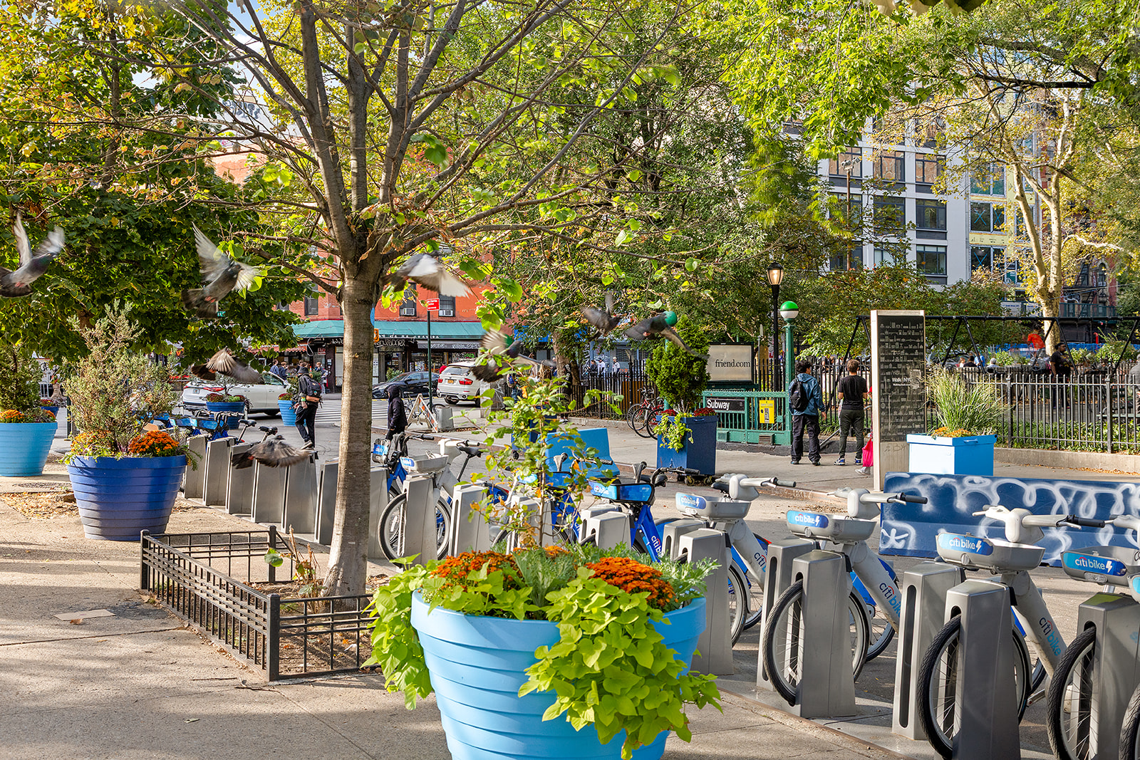 Neighborhood - Citi Bike station